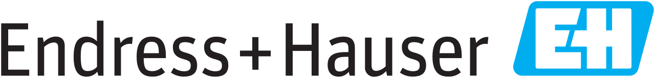 Endress + Hauser